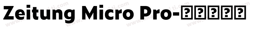 Zeitung Micro Pro字体转换